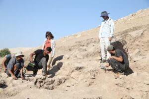 ŞANLIURFA (AA) – RAUF MALTAŞ – Harran Üniversitesi Arkeoloji Bölümü