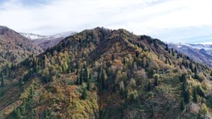 ARTVİN (AA) – Artvin'in Borçka ilçesindeki Borçka Karagöl Tabiat Parkı,