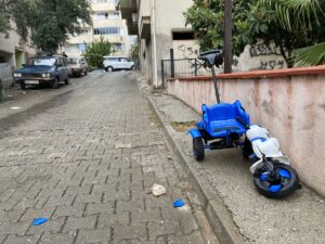 AYDIN (AA) – Aydın'ın Kuyucak ilçesinde 4 yaşındaki torununu kurtarmak