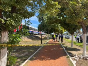 AYDIN (AA) – Aydın'ın İncirliova ilçesinde raylardaki torununu kurtaran kadın,