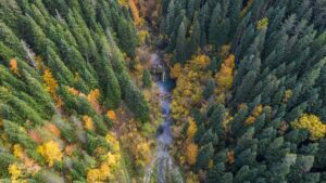 KASTAMONU (AA) – Kastamonu'nun doğal güzellikleriyle ünlü Azdavay ilçesindeki Saray