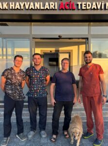 BALIKESİR (AA) – Balıkesir'de ameliyata alınan "Gofret" isimli sahipsiz köpeğin