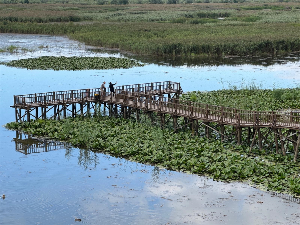 “Batı Karadeniz'in gizli hazinesi” Düzce, doğası ve kültür rotalarıyla yeniden keşfediliyor