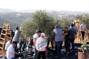 EL-HALİL (AA) – KAYS EBU SEMRA – İşgal altındaki Batı