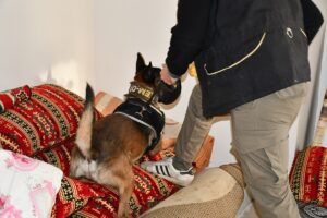 BATMAN (AA) – Batman'da 105 polisin katılımıyla düzenlenen eş zamanlı