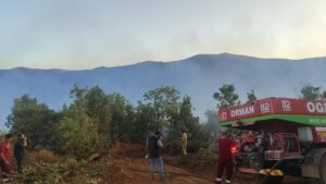 BİNGÖL (AA) – Bingöl’ün Genç ilçesinde ormanlık alanlarda çıkan yangın,