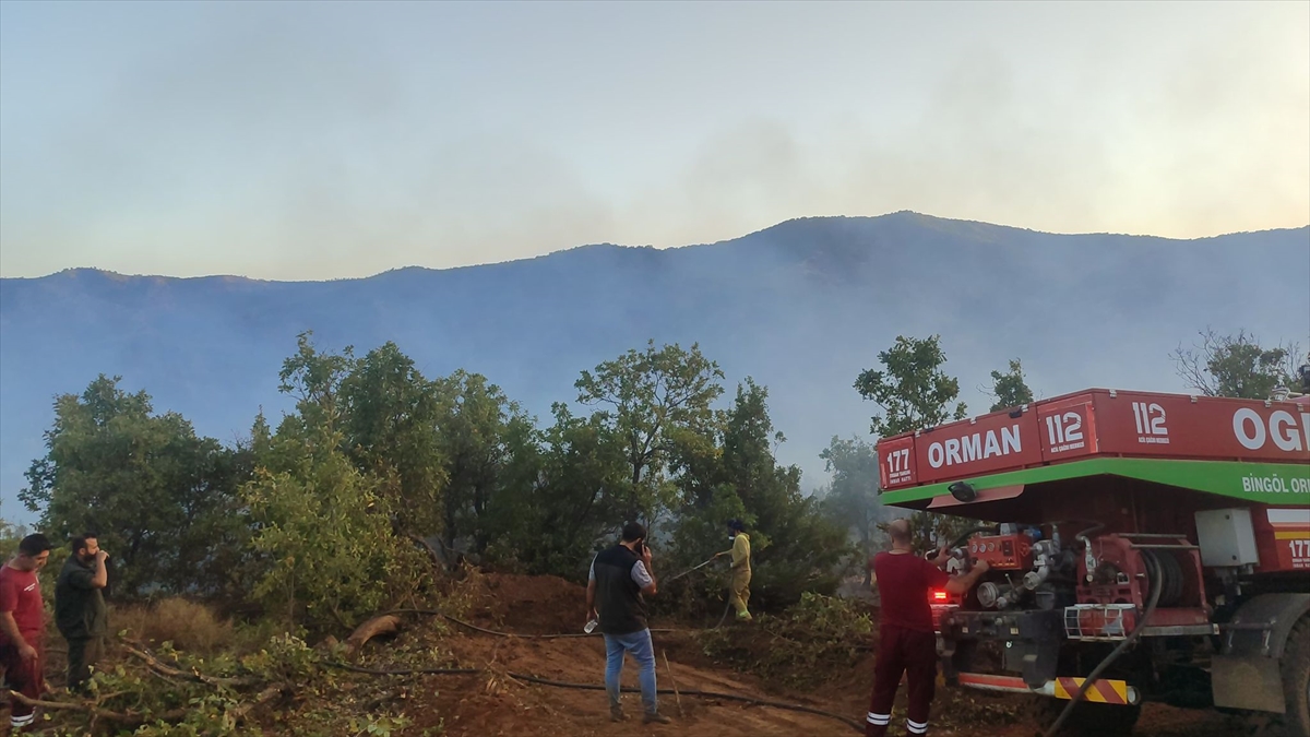 Bingöl'de ormanlık alanlarda çıkan yangın söndürüldü