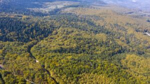 BOLU (AA) – Doğal güzellikleriyle her mevsim ayrı güzelliğe bürünen