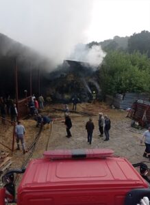 BURSA (AA) – Bursa'nın Nilüfer ilçesindeki bir ahırda çıkan yangında