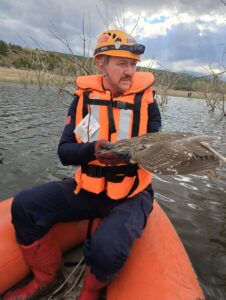 BURSA (AA) – Bursa'nın İnegöl ilçesinde misinaya takılıp mahsur kalan