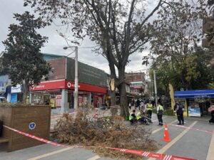 - Kentte çok sayıda ağaç devrildi, bazı araçlar zarar gördü