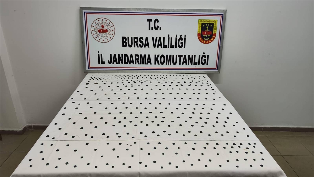 Bursa'da tarihi eser niteliğinde 437 sikke ele geçirildi