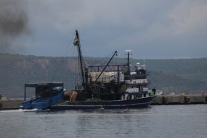 ÇANAKKALE (AA) – Çanakkale Boğazı'nda ava giden balıkçıların denizde çırpınırken