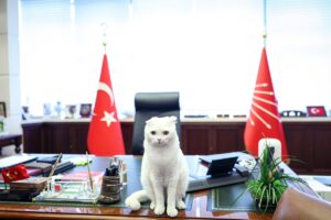 ANKARA (AA) – CHP Genel Başkanı Özgür Özel, 4 Ekim