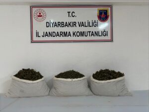 DİYARBAKIR (AA) – Diyarbakır'da düzenlenen uyuşturucu operasyonlarında 15 kilogram skunk
