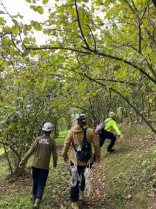 DÜZCE (AA) – Düzce’nin Cumayeri ilçesinde kırsalda kaybolan kişinin bulunması