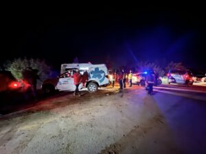 DÜZCE (AA) – Düzce'de mantar toplamak için gittiği ormanlık alanda