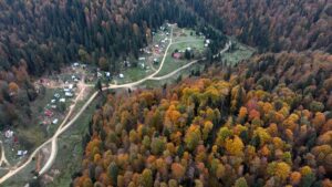 DÜZCE (AA) – Düzce'nin yaylaları, Sakarya'nın Çam Dağı bölgesi ve