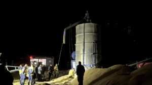 EDİRNE (AA) – Edirne'nin Meriç ilçesinde bir kişi çeltik kurutma