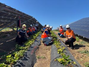 İSTANBUL (AA) – Enerjisa Üretim, Beykoz Komşuköy ve Bandırma Enerji