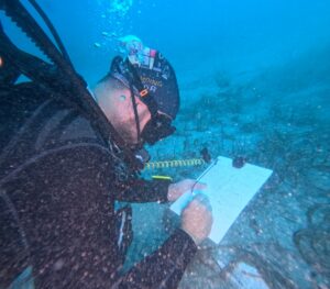 MUĞLA (AA) – Fethiye-Göcek Özel Çevre Koruma Bölgesi'nde yürütülen proje
