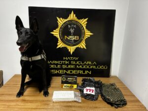 HATAY (AA) – Hatay'ın İskenderun ilçesinde, 1 kilo 100 gram