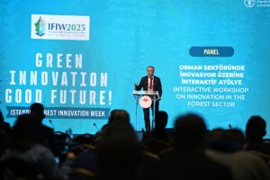 İSTANBUL (AA) – Orman Genel Müdür Yardımcısı İbrahim Yüzer, ormanlarla