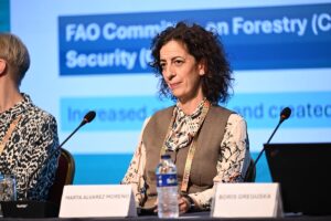 İSTANBUL (AA) – Orman Genel Müdür Yardımcısı İbrahim Yüzer, ormanlarda