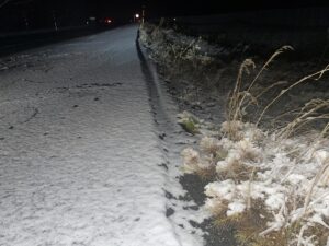 KARS (AA) – Kars'ın yüksek kesimlerinde kar etkili oluyor. Kentte