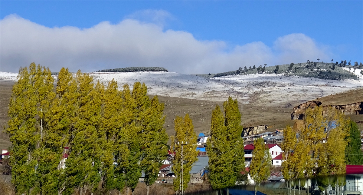 Kars'ta kar, soğuk hava ve kırağı etkili oldu