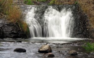 KARS (AA) – Kars'ın Sarıkamış ilçesindeki Keklik Vadisi, sonbaharda sarı