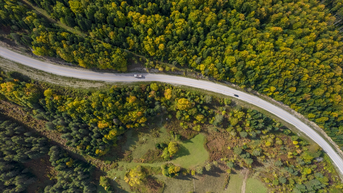Kastamonu ormanlarında sonbaharın renk cümbüşü yaşanıyor