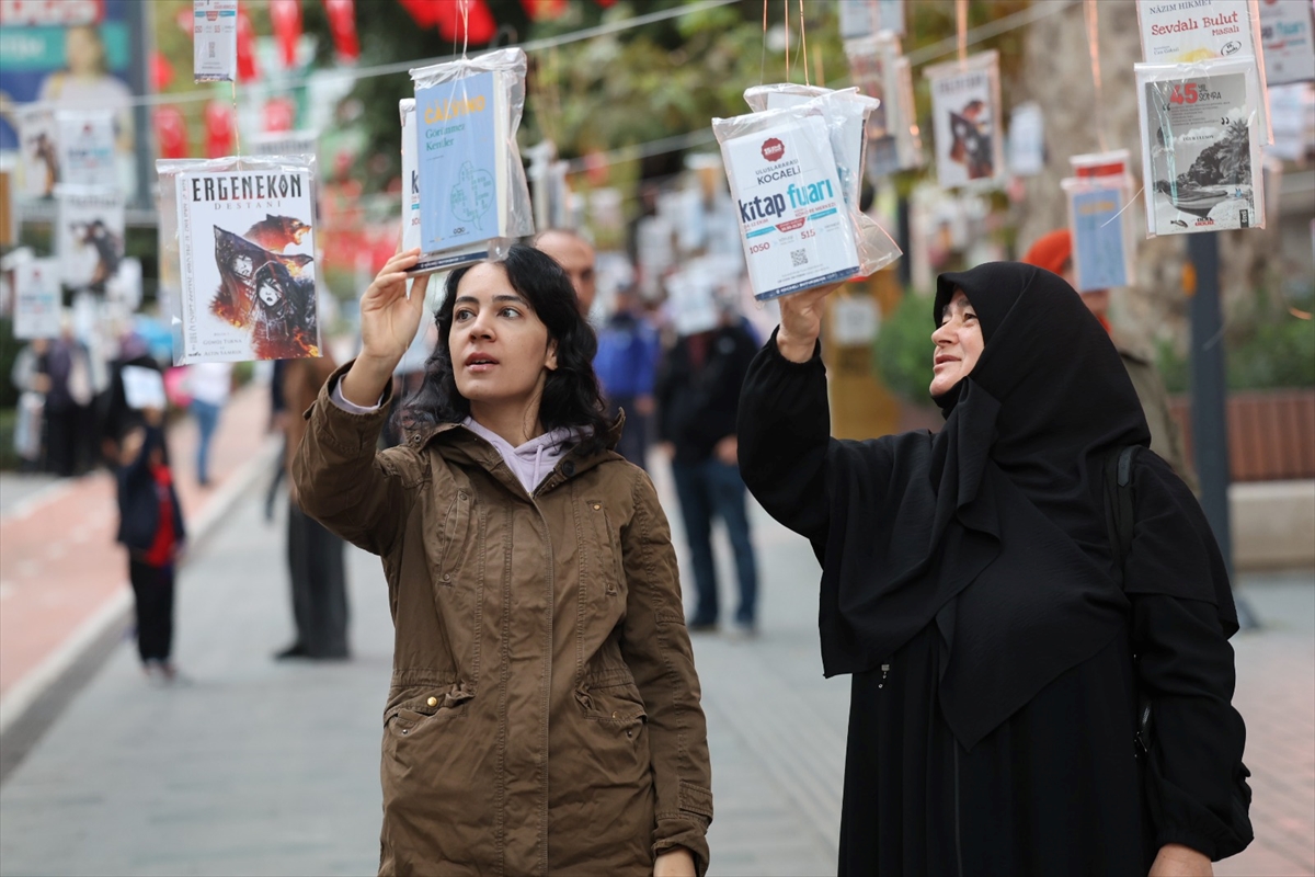 Kocaeli'de asırlık çınar ağaçları “kitap açtı”
