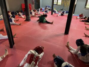 BURSA (AA) – CEM ŞAN – Milli sporcu Hatice Kübra