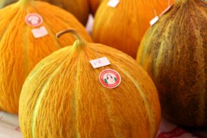 MUĞLA (AA) – Muğla'nın Menteşe ilçesinde bu yıl 10'uncusu düzenlenen