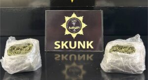 MUŞ (AA) – Muş'ta düzenlenen uyuşturucu operasyonunda gözaltına alınan 2