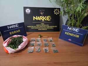 ORDU (AA) – Ordu'da düzenlenen uyuşturucu operasyonunda gözaltına alınan 2