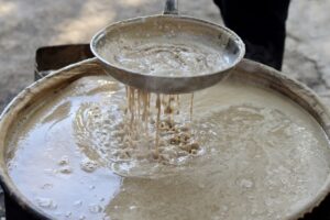 OSMANİYE (AA) – Osmaniye'nin Bahçe ilçesinde üzümlerini hasat eden çiftçiler,