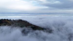 SAMSUN (AA) – Samsun'un Alaçam ilçesinde 1650 rakımlı Dürtmen Dağı'nda