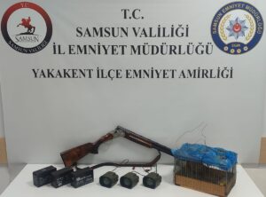 SAMSUN (AA) – Samsun'un Yakakent ilçesinde kafese koydukları bıldırcınla düzenek