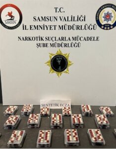 SAMSUN (AA) – Samsun'un İlkadım, Atakum ve Havza ilçelerinde düzenlenen