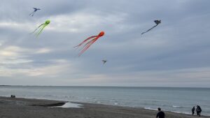 SAMSUN (AA) – Samsun'un semaları renkli uçurtmalarla şenlendi. Atakum sahilinde