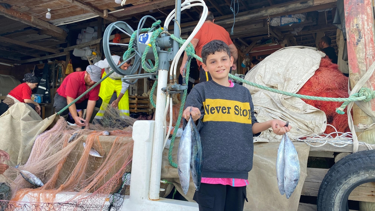 Sinop'ta bir balıkçının ağına 3 bin palamut takıldı