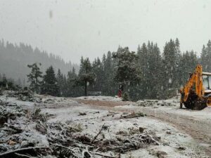 SİNOP (AA) – Sinop'un Türkeli ilçesindeki Hacıağaç Yaylası'na mevsimin ilk