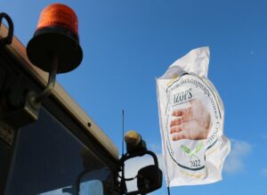 NOVİ SAD (AA) – Sırbistan'ın kuzeyindeki Novi Sad kentinde 8