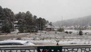 SİVAS (AA) – Sivas'ın Koyulhisar ilçesinde, çam ağaçlarıyla kaplı Eğriçimen