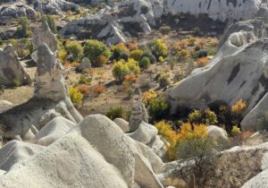 NEVŞEHİR (AA) – Sonbahar nedeniyle sararan yaprakların peribacalarıyla bütünleştiği Kapadokya'da