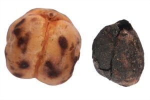 ANKARA (AA) – Kültür ve Turizm Bakanı Mehmet Nuri Ersoy,