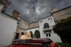 İSTANBUL (AA) – ŞADUMAN TÜRKAY – Topkapı Sarayı'nın Harem bölümünde