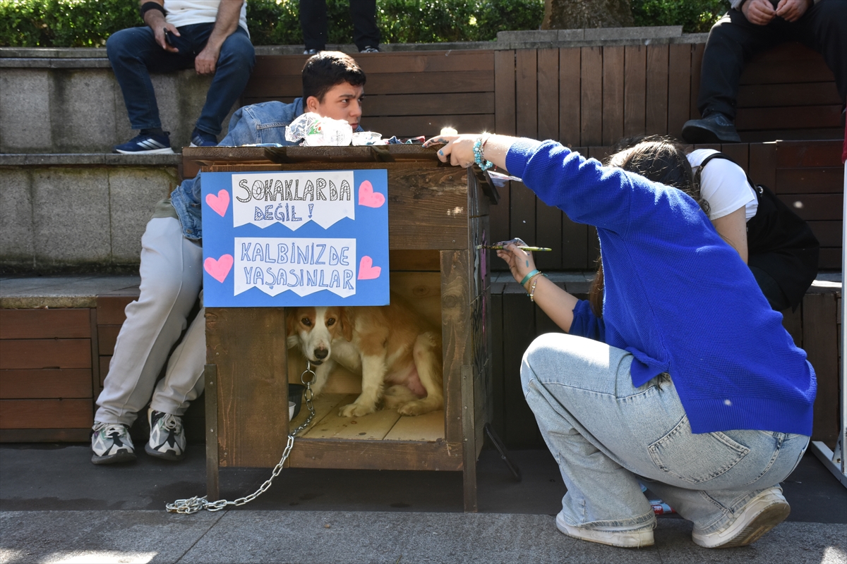 Trabzon'da öğrenciler “Dünya Hayvanları Koruma Günü”nde köpek kulübelerini renklendirdi